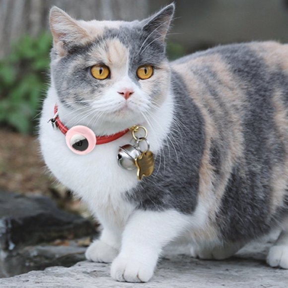 TYPECASE 2 Pack -  Pet Collar Holder for AirTags  NEW!!! - Picture 8 of 14